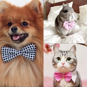 🎀Set of 3 (6 total) 𝗣 𝗘 𝗧-𝗕 𝗢 𝗪 𝗦 🎀                        🐶🐹🐰🐱🐷